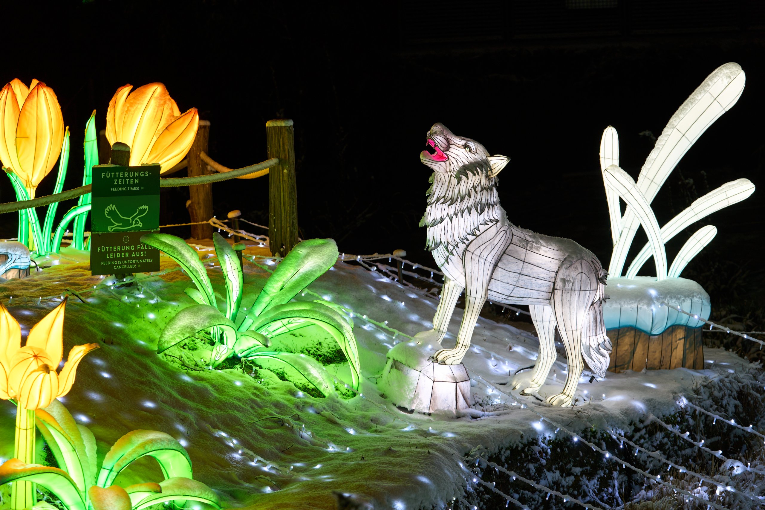 2026 01 05 China Lights 0249